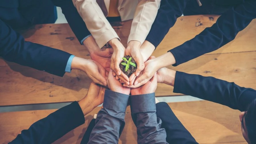 A culture of sustainability: How small businesses can make an impact